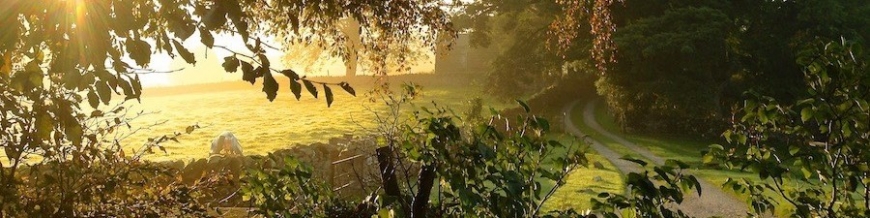 100 Ways to be Romantic | A dummies guide to being romantic