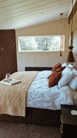 Juniper, Forest of Bowland