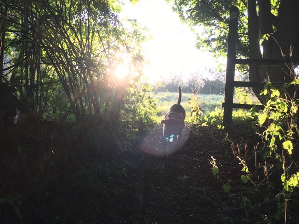 Hop Pickers’ House, near Ludlow