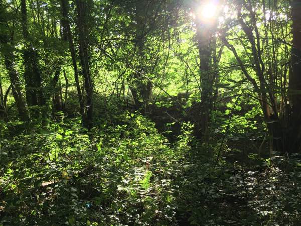 Hop Pickers’ House, near Ludlow