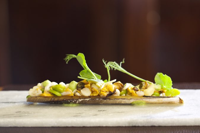 The Rose & Crown at Romaldkirk