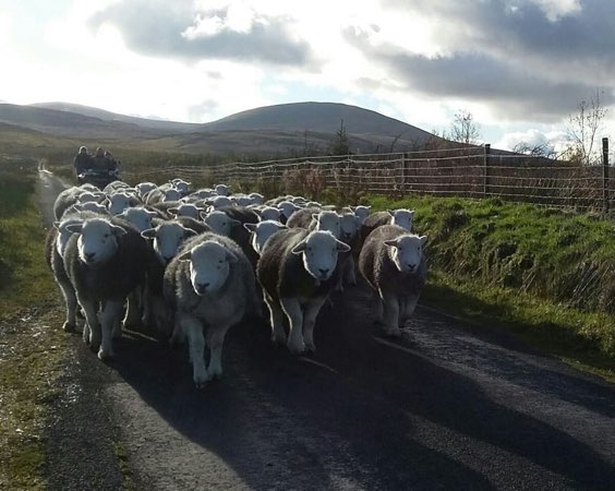 The Groom’s Cottage, Uldale near Keswick