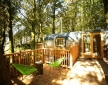 The Hideaway Treehouse at Pickwell Manor