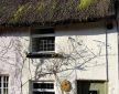 Little Owl Cottage, Exmoor