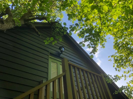 The Nest, Ashdown Forest