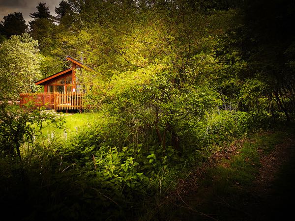 Golden Oak Hideaway, Thorpe Forest