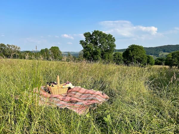 The Studio Barn, nr Matlock