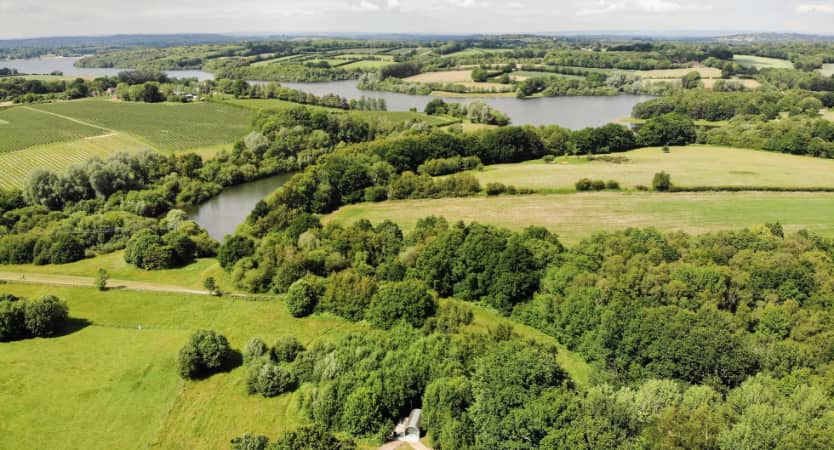 Willow the Wisp, Sussex Kent borders
