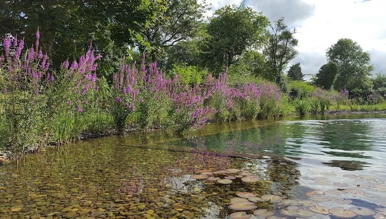 The Garden Rooms at Bucknell