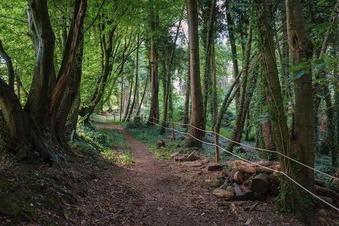 The Hide Roundhouse, Crewkerne