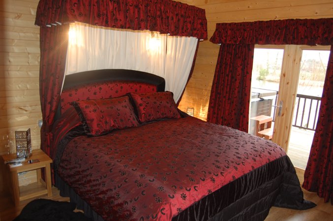 Kingfishers at Woody Park, Cullompton