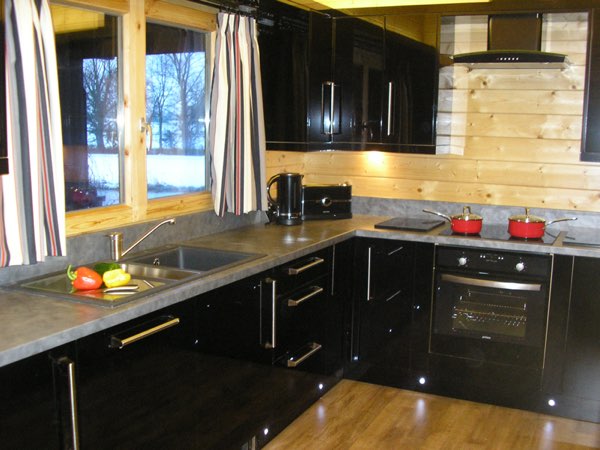 Kingfishers at Woody Park, Cullompton