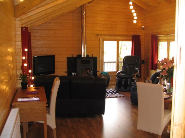 Kingfishers at Woody Park, Cullompton