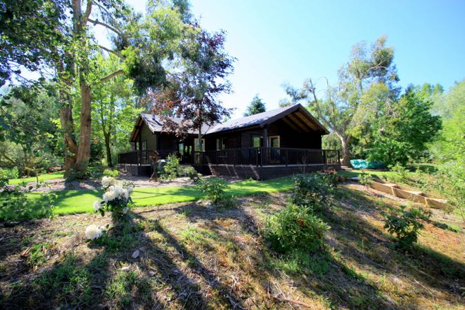 Kingfishers at Woody Park, Cullompton